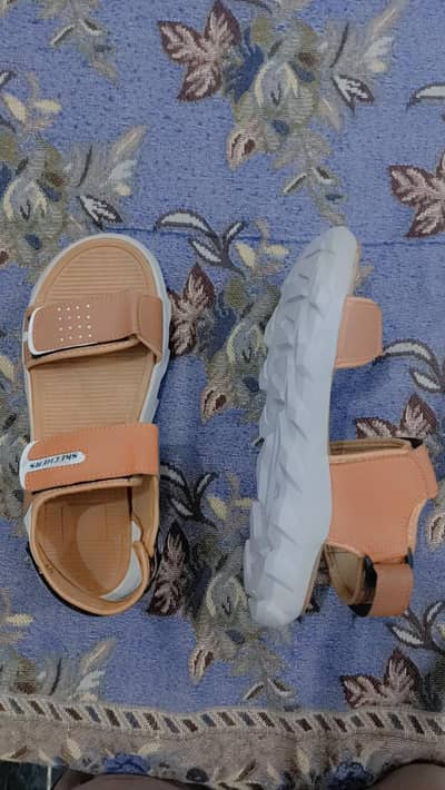 Skechers Brand Sandals for men