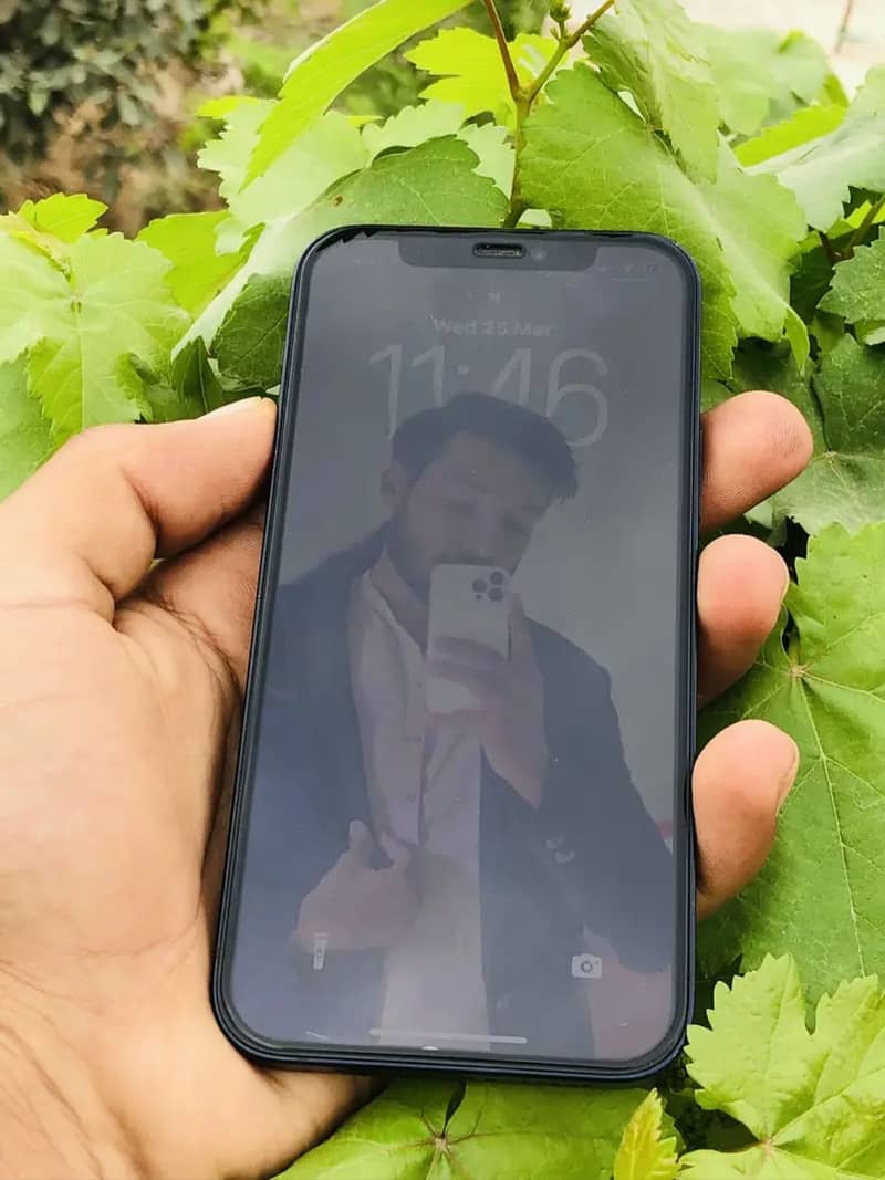 Apple iPhone 12 1