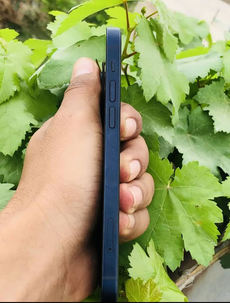 Apple iPhone 12 2