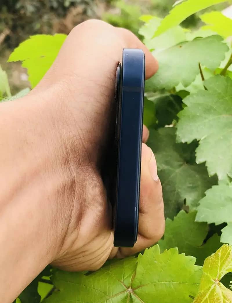 Apple iPhone 12 3