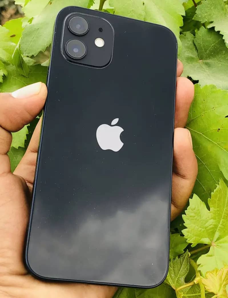 Apple iPhone 12 4