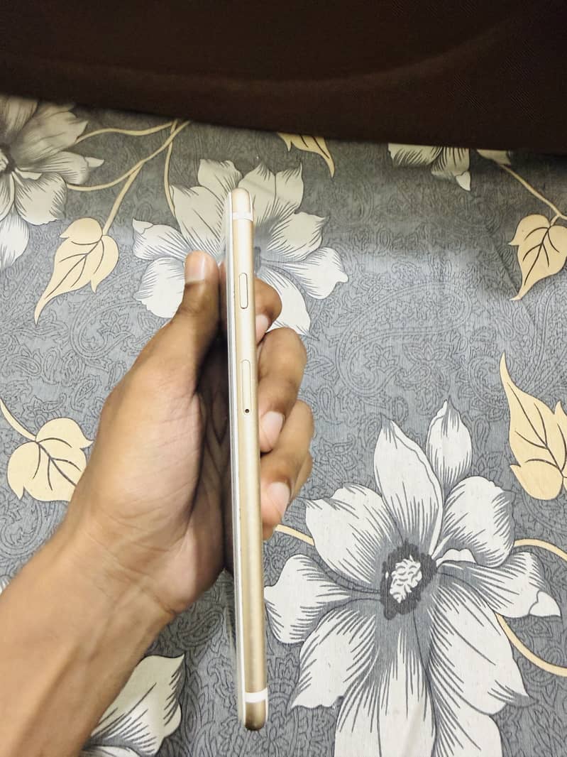 iPhone 7 plus 1