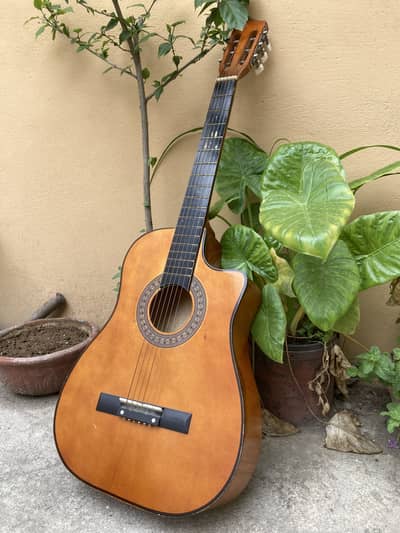 Acoustic guitar