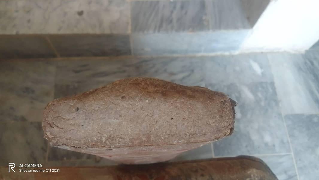 cricket bat 1