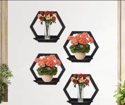 Pack of 5 Hexagon Wall shelve