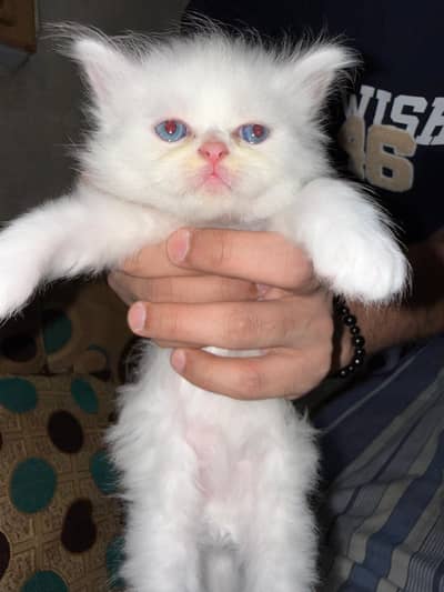 For sale