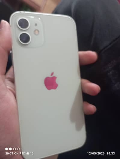 iPhone 12