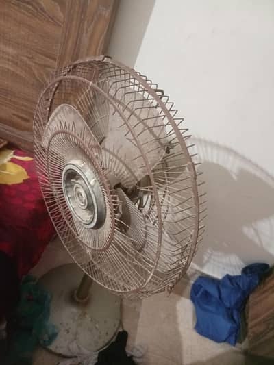 3 fan