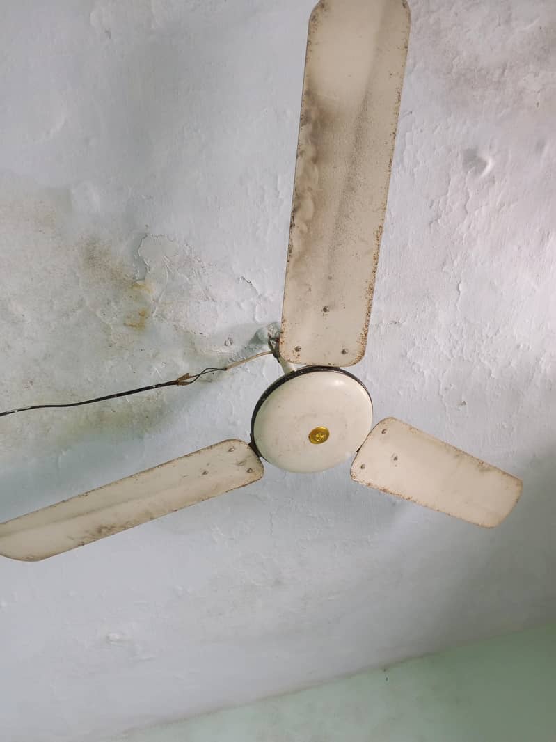 ceiling fan 0