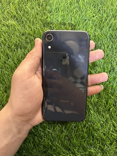 iPhone XR