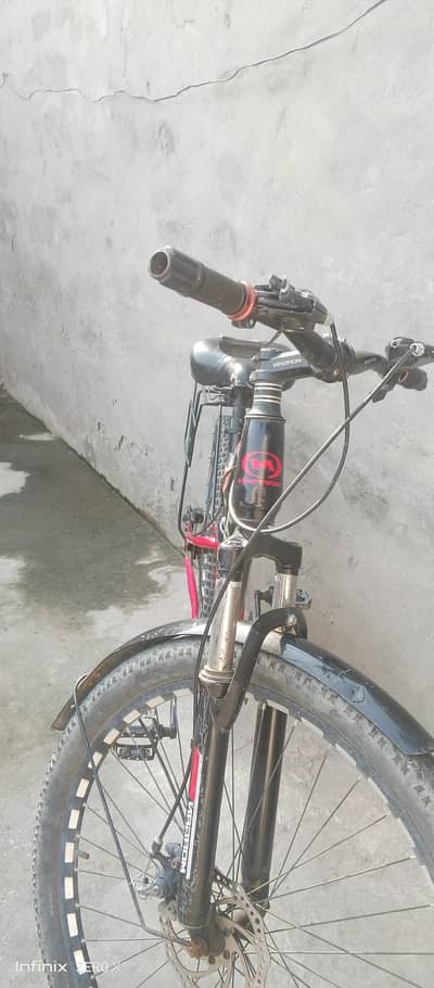 sport cycle