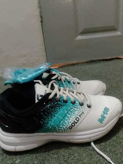 model no gold pro M18 brand new condition