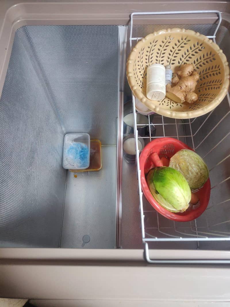 freezer 4