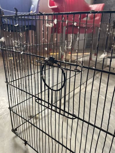 8 Portions Double boxes Master cage