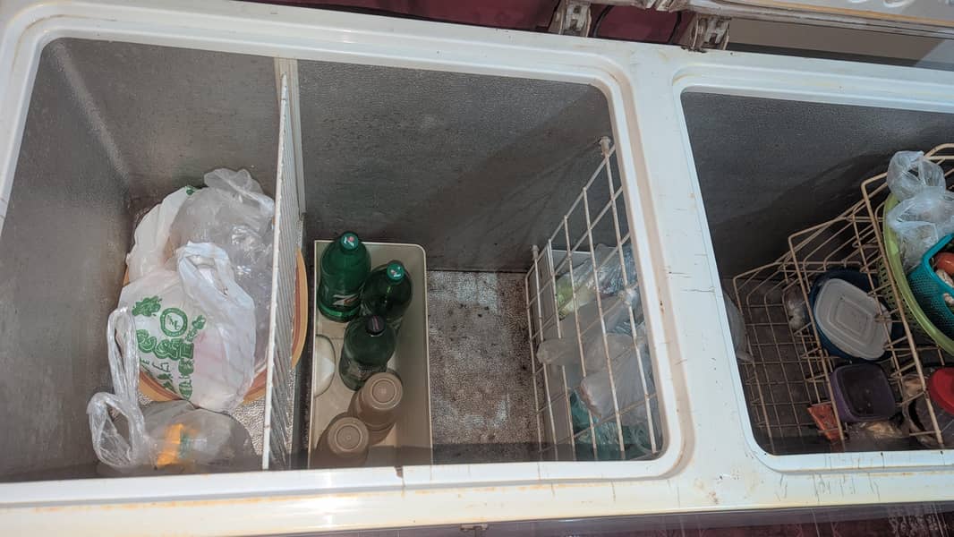 Freezer 4