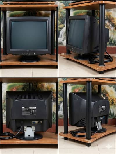 Ad Title: Dell CRT Monitor (Original Color & Sharp Display) – 10/10 C