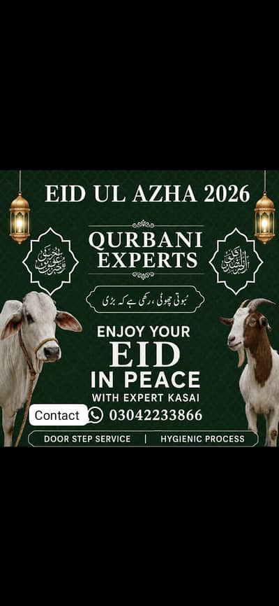 for booking contact only karachi