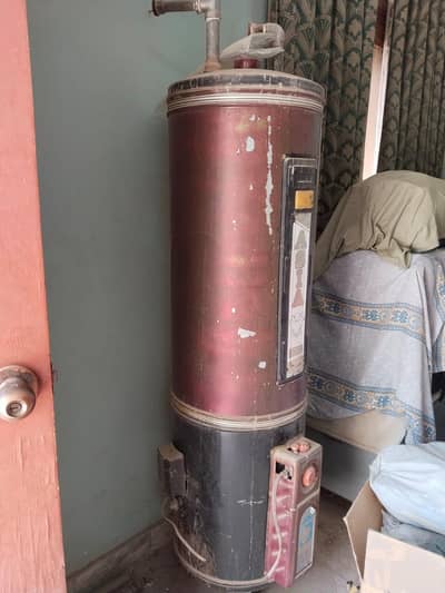 dual geaser gas n electric option