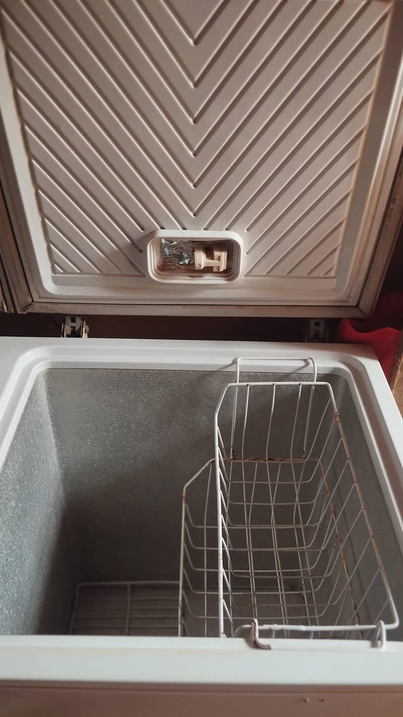 DEEP FREEZER 5