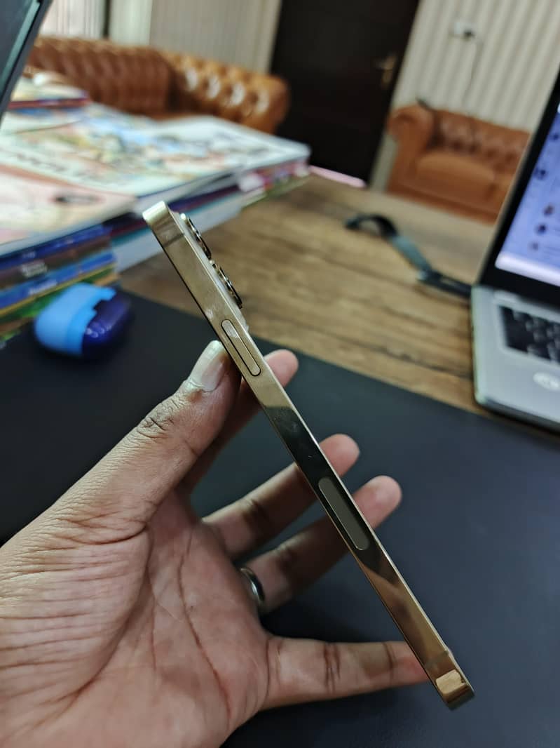iphone 13 pro max 1