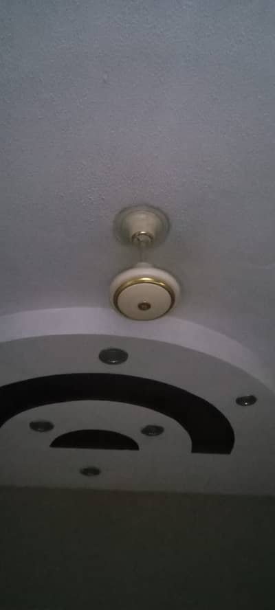 Ceiling fan