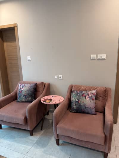 Elegant two-seater sofa set