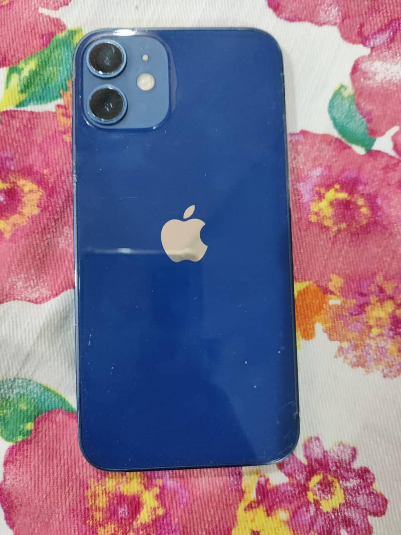 iphone 12 mini bypass 3