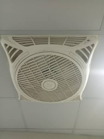ceiling fans royal fans