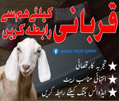 Eid Qasai bokking jari