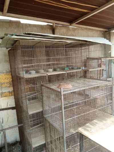 birds cages good condition