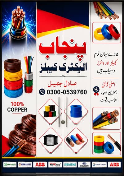 PUNJAB CABLE BILAL GUNJ MARKET SHOP NO 53 C