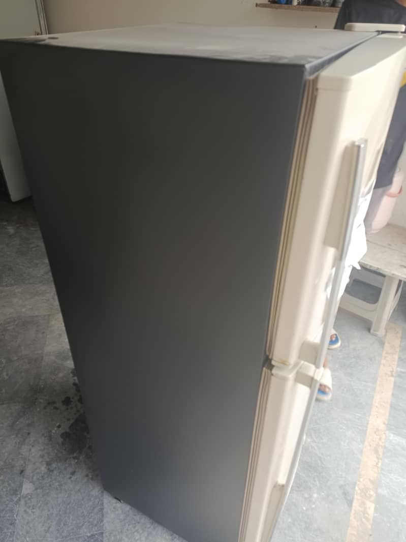 medium size 4