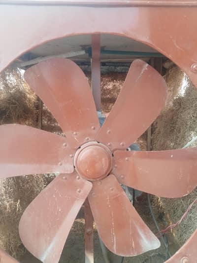 Heavy Duty Air Cooler at Best Rate