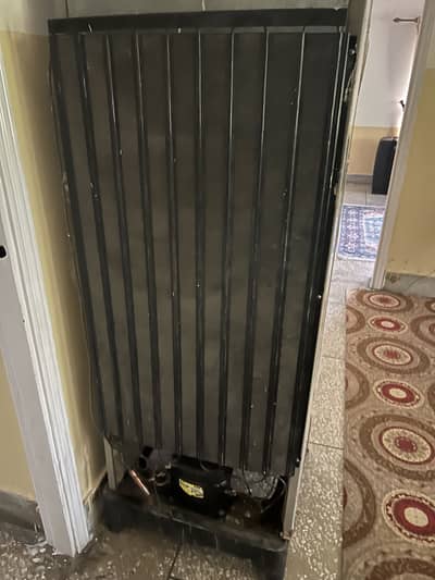 ARCTIC refrigerator