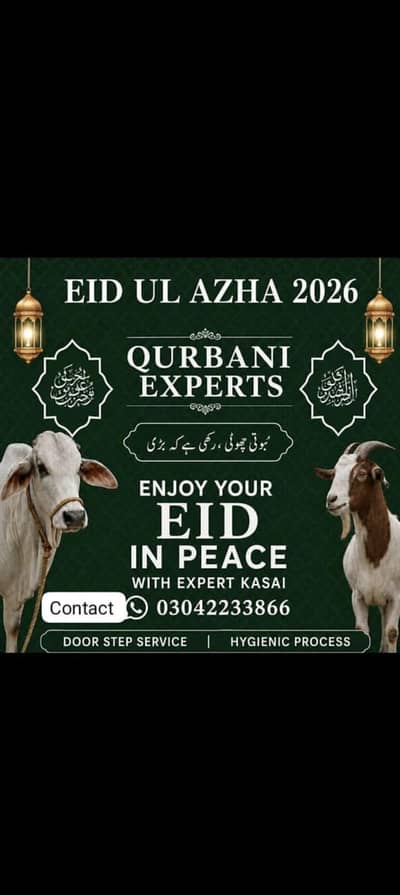 expert qasai for Booking Contact only for Karachi and only whatsapp