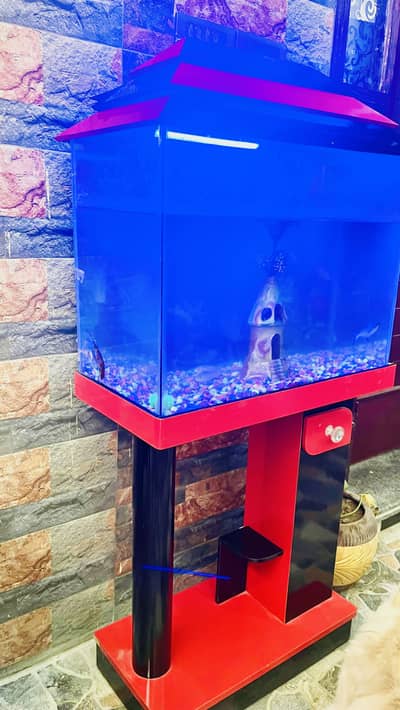 Fish Aquarium