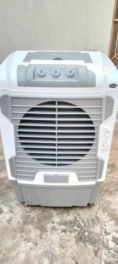 Canon Air Cooler Model 7500 snowfall