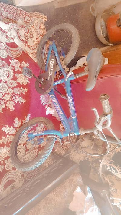 Blue bicycles