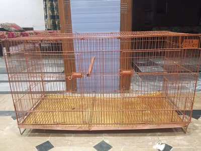 parrots cage