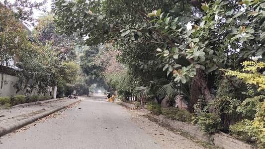 Sector G. 6/3 Top Location On Embassy Road Street Size 70*210 Direct Deal with owner