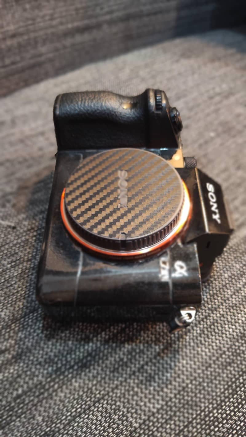 Sony A73 6