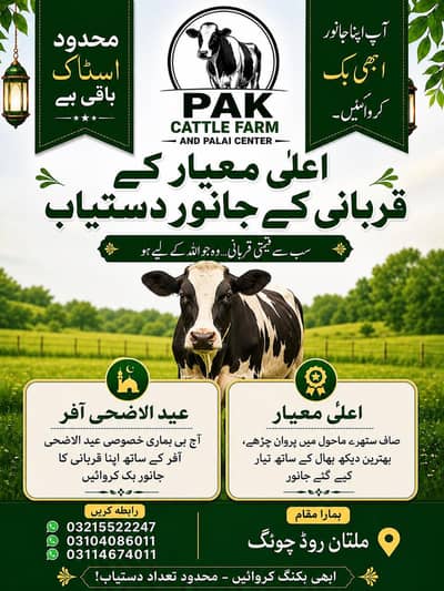 wery dastiyab hein 920 kg