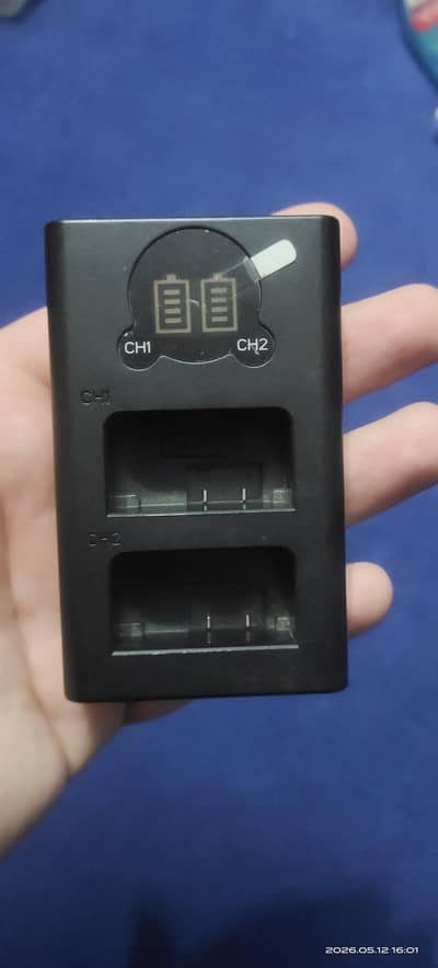 Dual  Battery charger