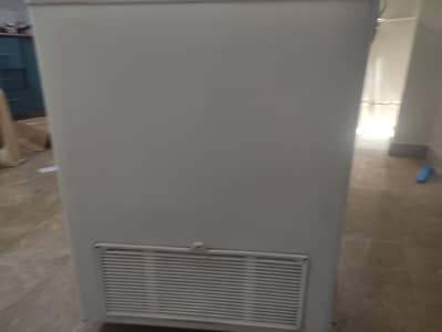 2 door hair freezer for sale