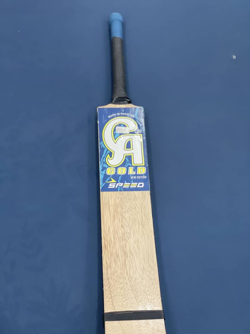 Cricket Bat 1
