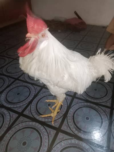For sale