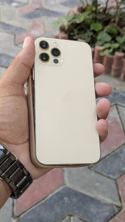 iPhone 12 Pro 256GB Non-PTA | SIM Working | Urgent Sale