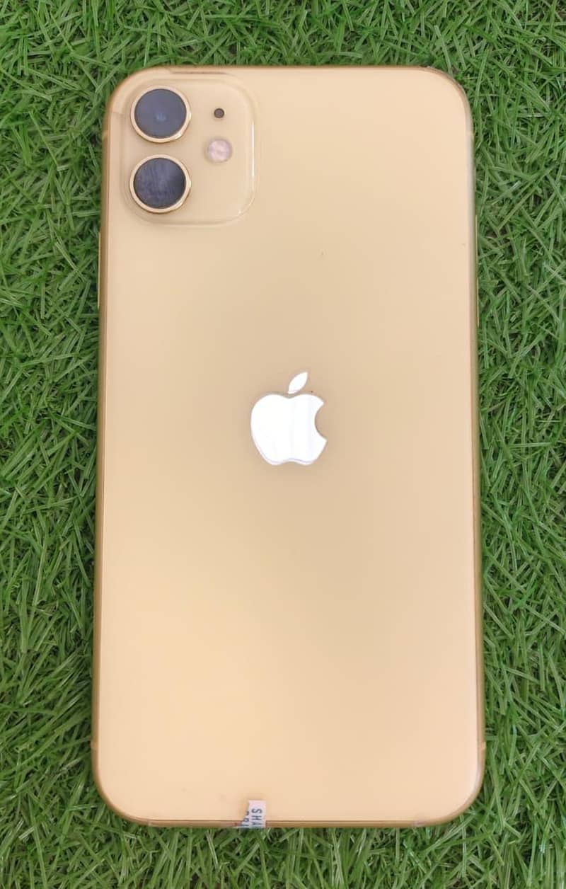 Iphone 11 0