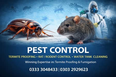 AA Chemical | Professional Termite & Pest Control Services ,Fumigation
