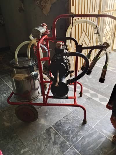 milking machine for sale